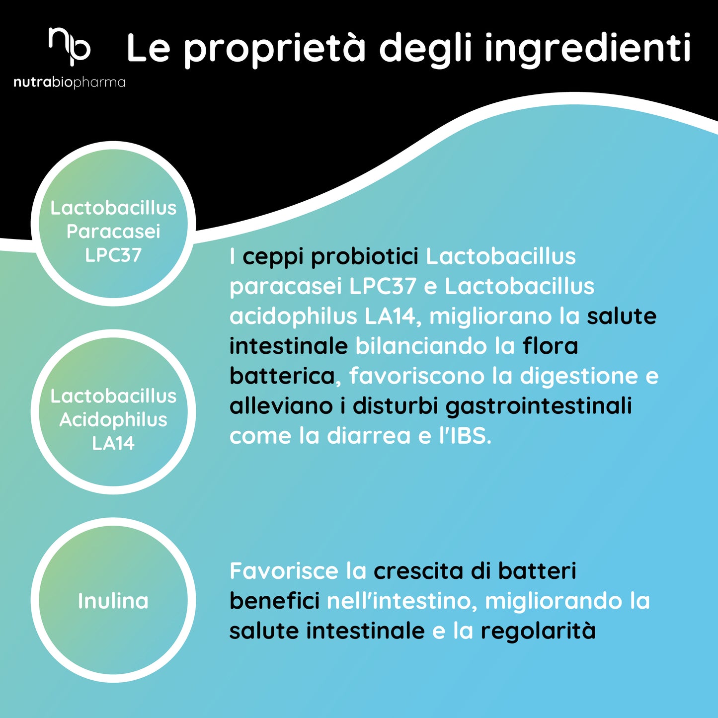 FERMENTI LATTICI PROBIOTICI ORO