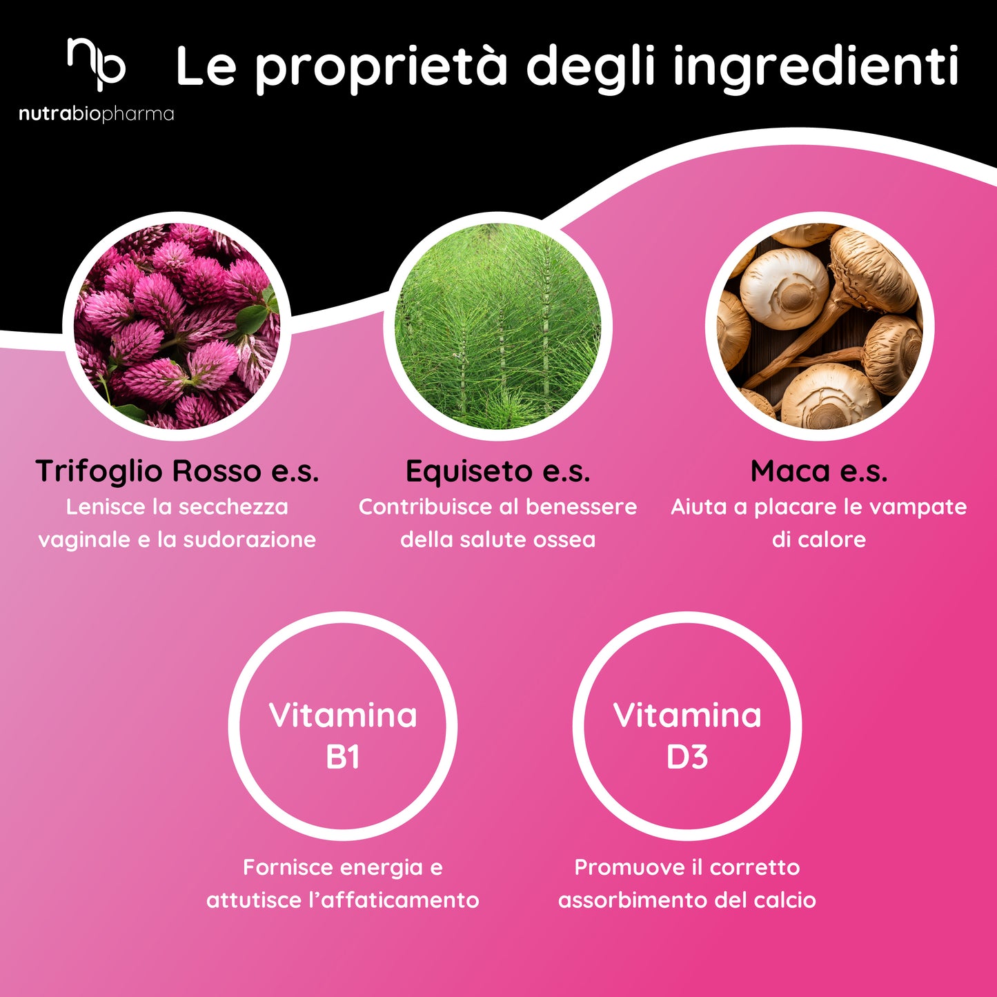 MENOPAUSA
