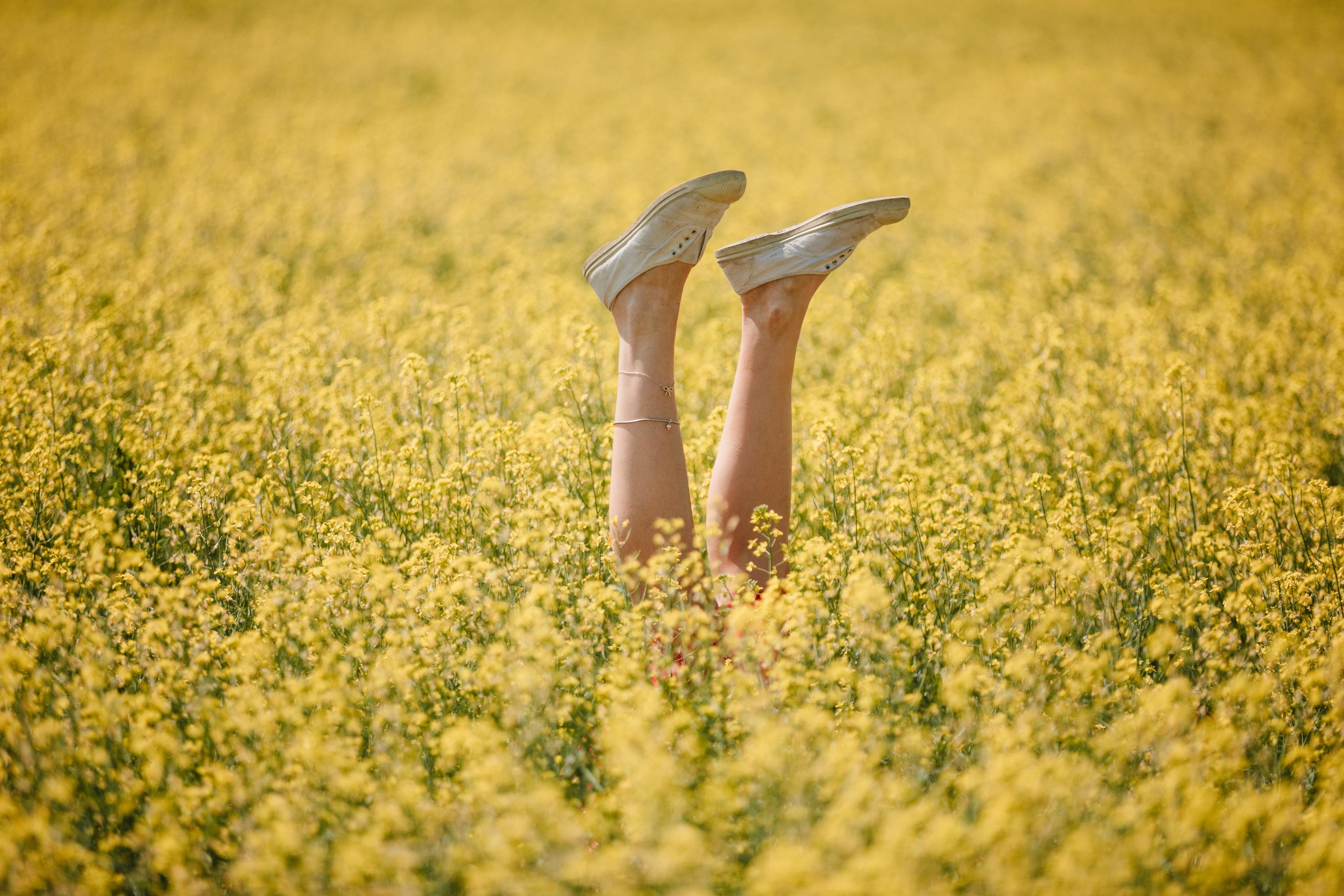 Campo di fiori gialli da cui escono le gambe di una ragazza