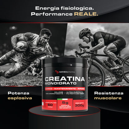CREATINA MONOIDRATO