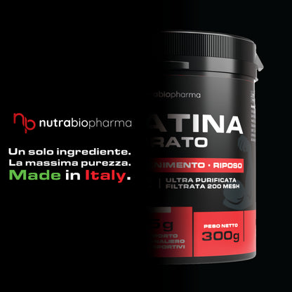 CREATINA MONOIDRATO