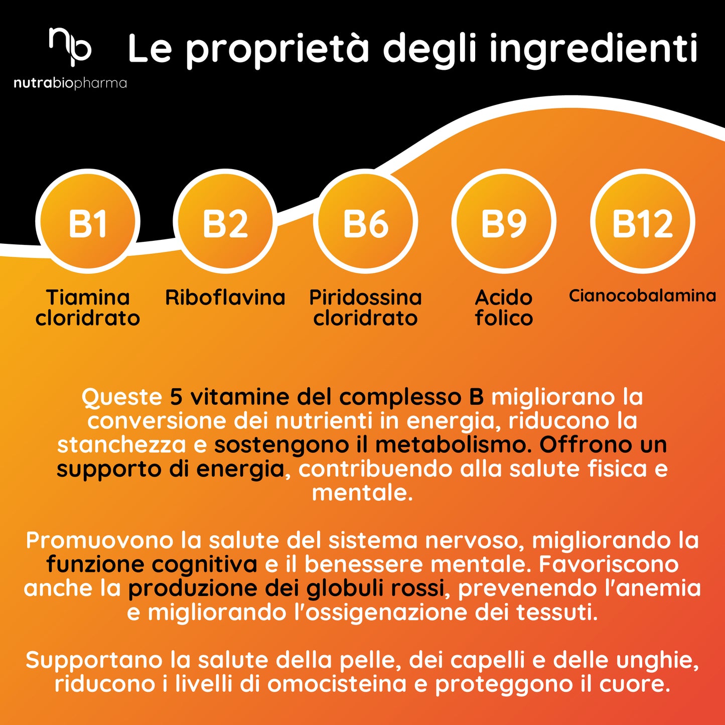 B COMPLEX